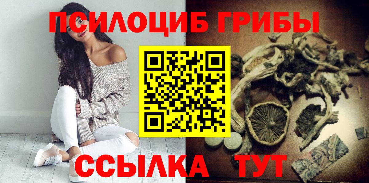 Галлюциногенные грибы GOLDEN TEACHER  купить наркоту  Калининград  Псилоцибиновые грибы прущие грибы  Вход с VPN 