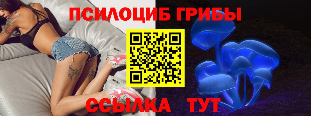 Псилоцибиновые грибы Psilocybine cubensis Калининград