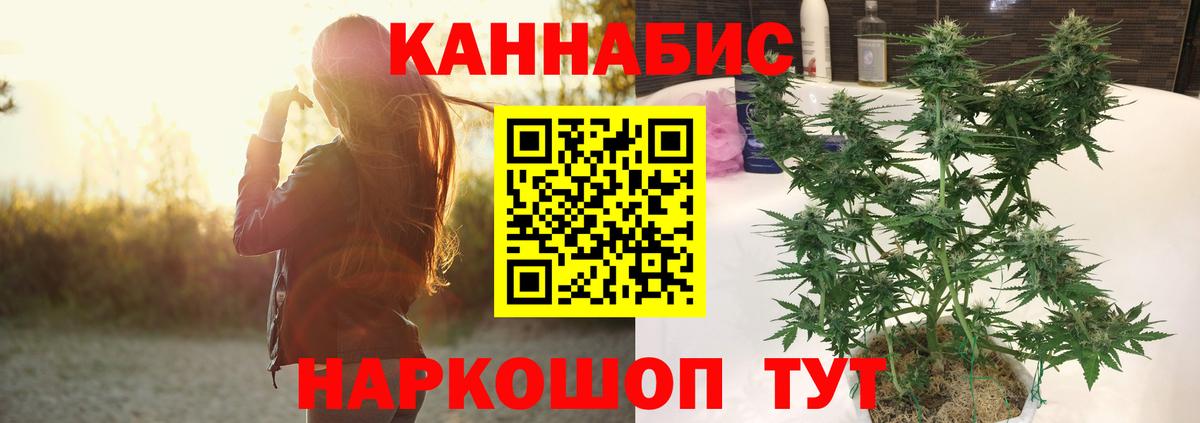 Конопля LSD WEED  Шишки марихуана гибрид  Калининград  Каннабис Amnesia  Вход с VPN 